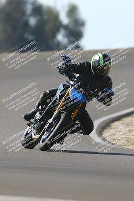 media/Nov-02-2025-Lets Ride (Sun) [[f7a3caa734]]/B Group/1220pm (Turn 2 Outside)/